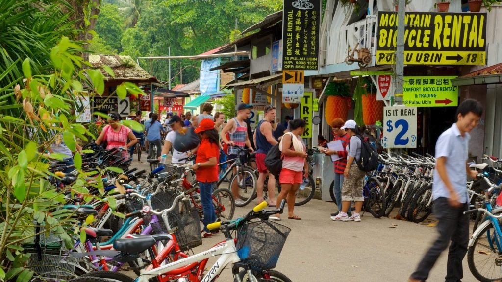 Pulau Ubin Singapore: Complete Guide to Visiting Singapore's Last Kampong (2025) - Bicycle rental in Pulau Ubin. 