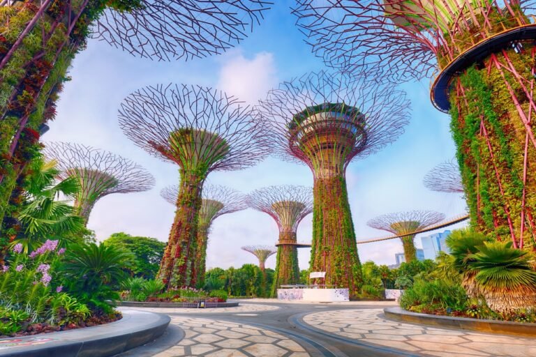 The Ultimate Singapore Tourist Guide: Everything You Need to Know