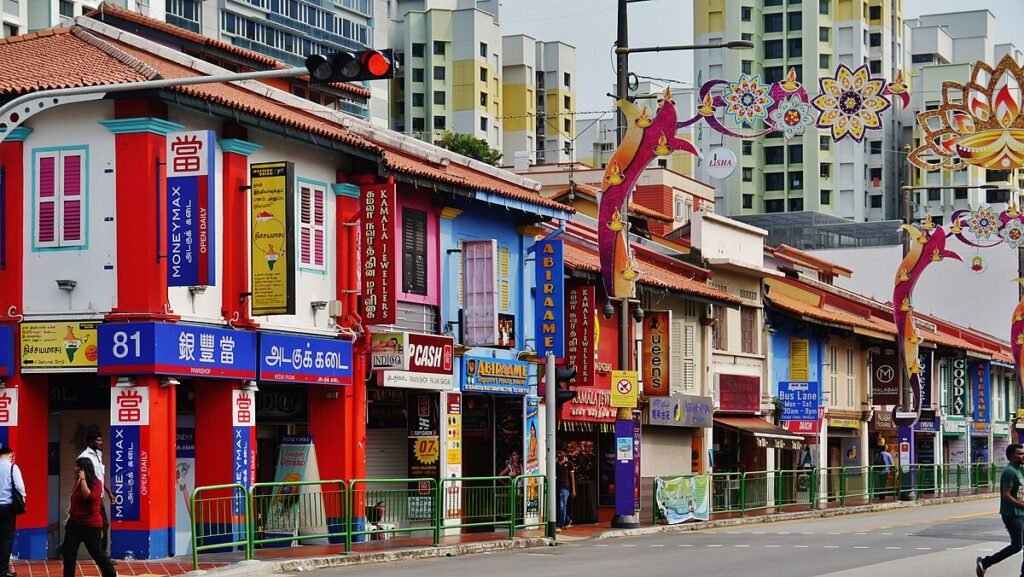 Visiting Little India of Singapore: A Cultural Wonderland Awaits - Serangoon Road shops